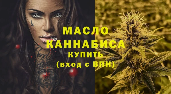 индика Бородино